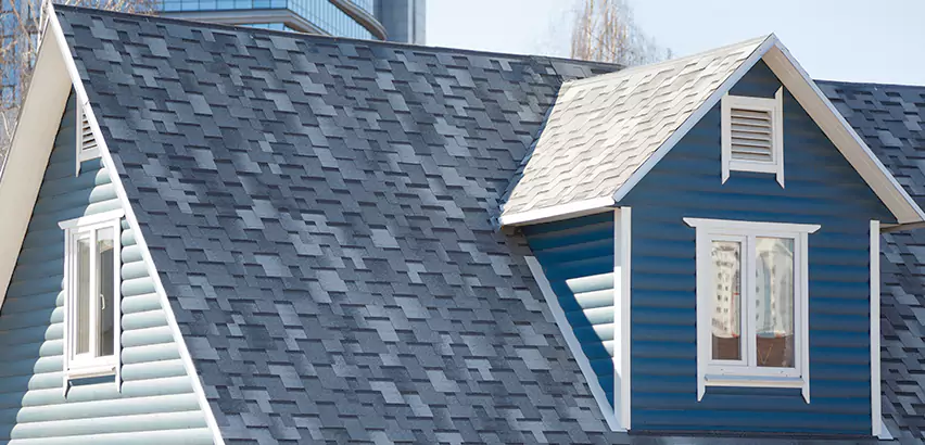 Shingle Roof Maintenance in Beloit