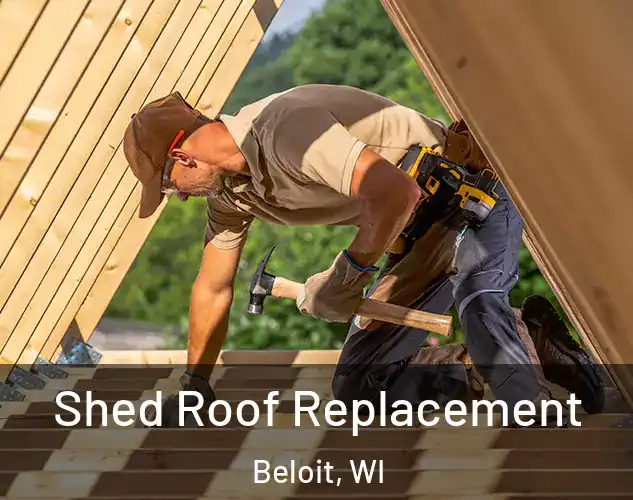  Shed Roof Replacement Beloit, WI